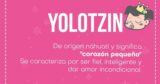 ▷ Significado de Yolotzin 【 APODOS, ORIGEN Y MÁS 】